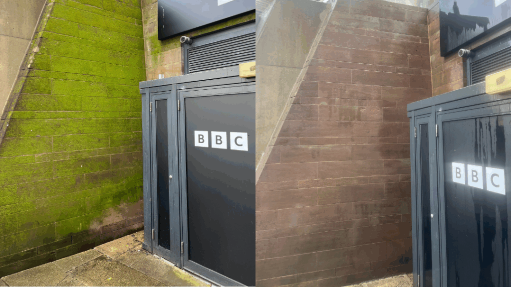 Before and After of Moss covering a wall at the BBC offices